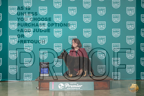German Shepherd Dog #NL Wed PRBIS Judge Fred HyerMJP_5593_Premier2023_HR3
