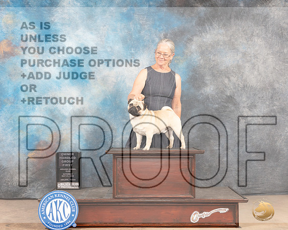 Pug #11 Sat WDOHG1 Judge Peggy McIlwaine-MMJ_4269-Abilene2022-HR3