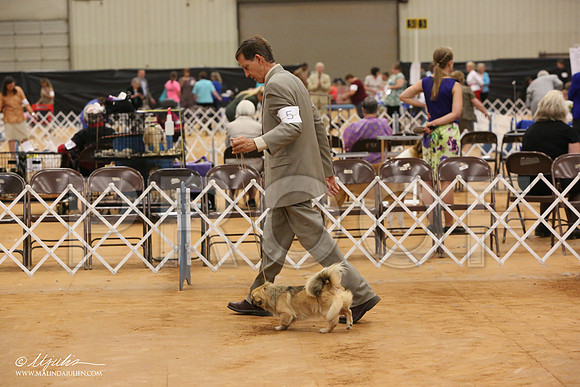 Tibbie-8101-Tex2013 HR3