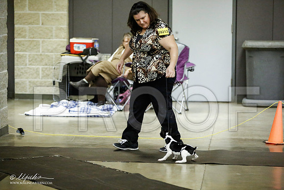 _JJ_5992-BeltonJan2015IABCA-HR3