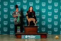 Italian Greyhound #1321 Sun G4 Judge Donna Beadle