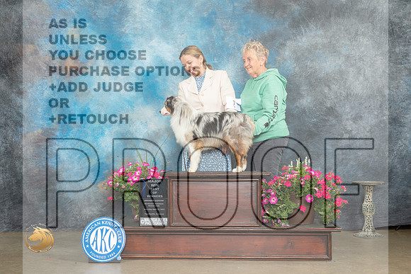 Miniature American Shepherd #9 Sun BOWM Judge Gary Andersen_MJ_7186_ARK2023_HR3