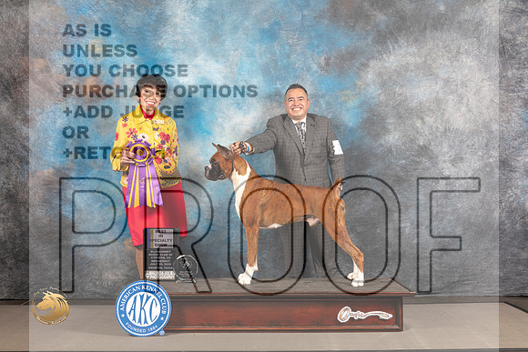 Boxer #23 WED BISS Judge Barbara Alderman_MJ_1824_Houston_2022_HR3