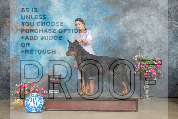 Beauceron #5 Sat G2 Judge Linn Klingel Brown_MJ_6769_ARK2023_HR3