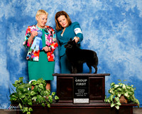 Schipperke #205 Sun G1 Maggie Pryor Judge Lew Olson