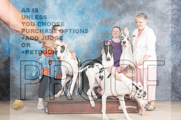 Great Dane Sun CircusMJP_1328_Abilene_2023_HR3