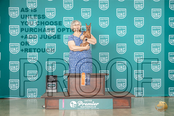 Miniature Pinscher  #1054 Sat RACEN rMJP_5074_Premier2023_HR3