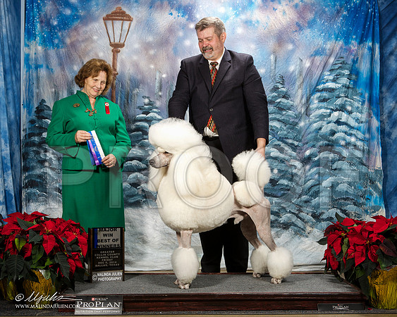 _ST_8282-DallasDec2014-HR3