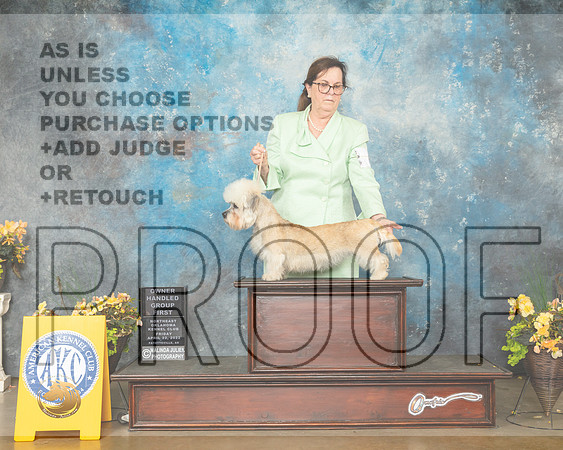 Dandie Dinmont Terrier #6 Fri OHG1 Judge Carol Jean Nelson-MMJ_9853-NWARK2022-HR3