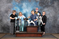 Rat Terrier #415 Sun BISP