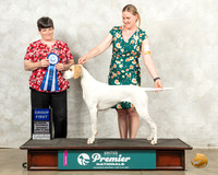 Pointer #816 Sat G1 Judge Linda Reece