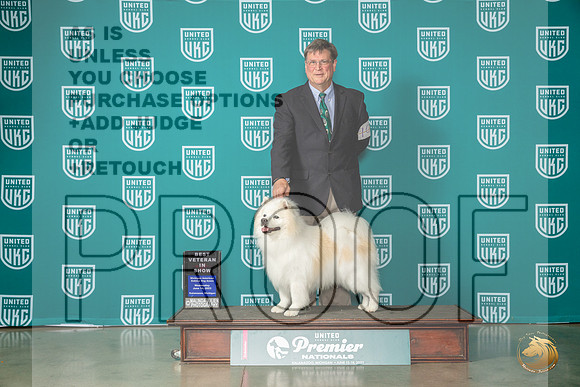 American Eskimo #103 Wed BIS Vet Judge Nancy GallantMJP_5005_Premier2023_HR3