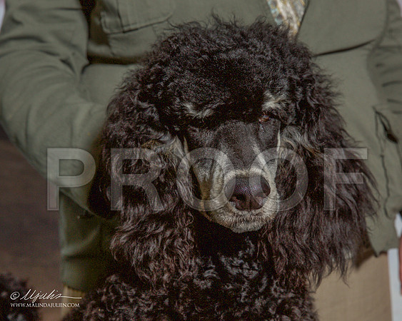 _R2_2106-MrshlDec2015-HR3