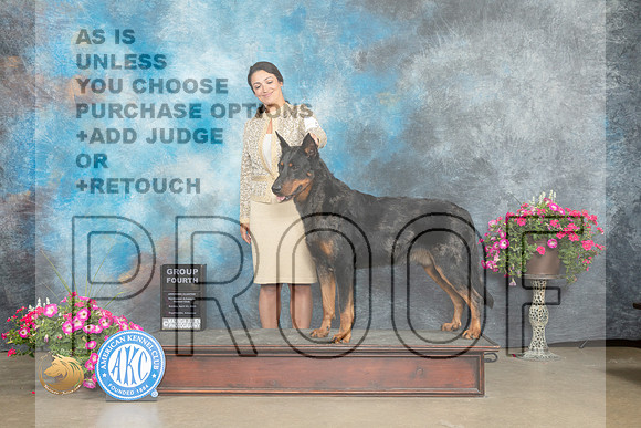Beauceron #5 Sun G4 Judge Jacqueline L Stacy_MJ_7555_ARK2023_HR3