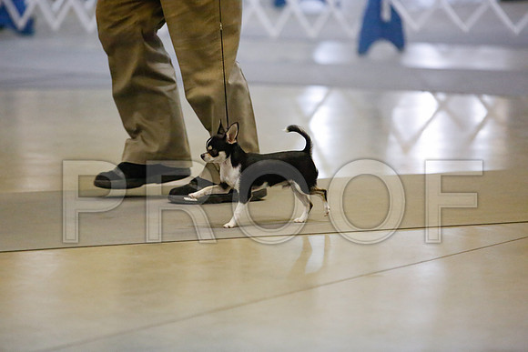 _JJ_8359-AmarilloSept2014-HR3