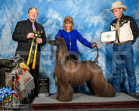 _ST_4610-AfgBeltonOct2014-HR3