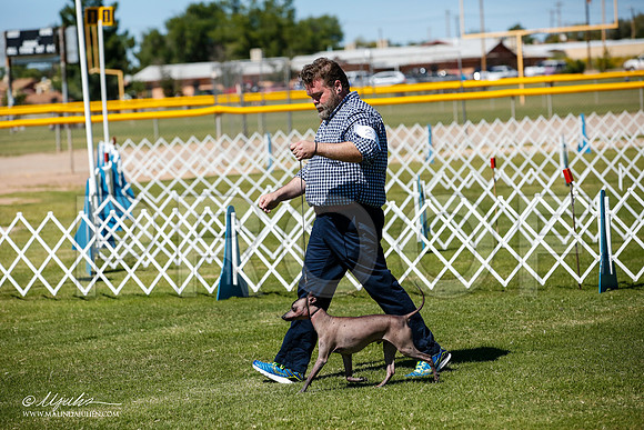 _JJ_8246-AlamogordoOct2014-HR3