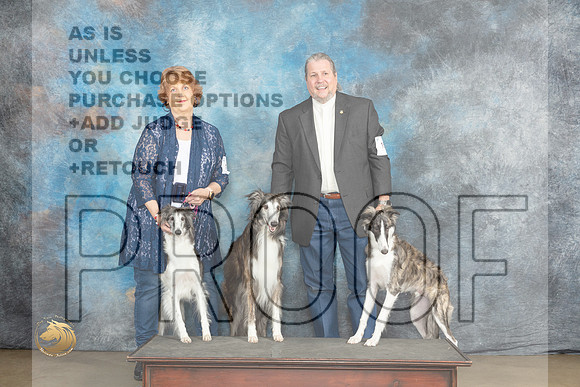 Silken Windhounds #179 FriMJP_1915_UKCLNVWMAY2023_HR3