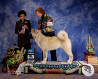 Akitas #5 Sun BW Wagner Ilka DVM Judge L Clark