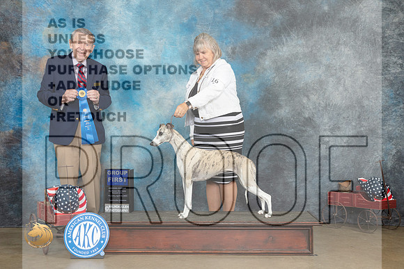 Whippet #16 Thurs G1 Judge Terry Stacy_MJ_5632_ARK2023_HR3