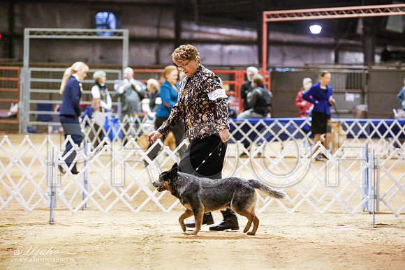 _JN_4588-2-GlenRoseJan2015-HR3