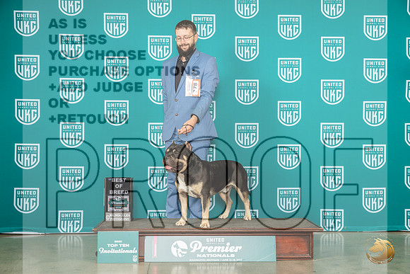 American Bully #778 Thur T10 Judge Felicity TrammellMJP_3742_Premier2023_HR3