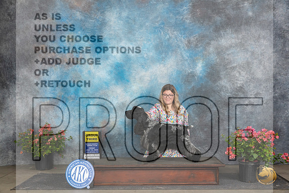 English Cocker #5 Fri G3 Judge Elizabeth ‘Beth’ Sweigart__JP_4423_San Antonio_2024_HR3