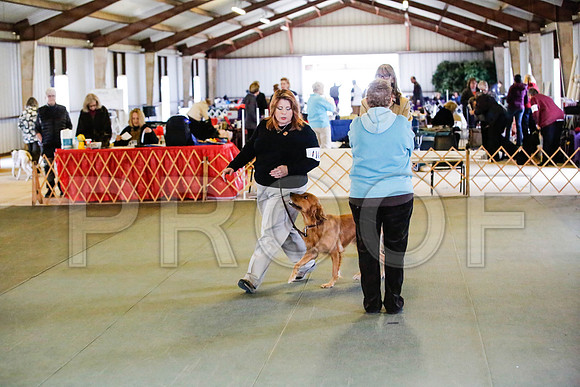 _CA_0664-DFWLabNov2015-©JulienLambertphoto.com-HR3