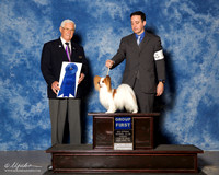 Papillon #7 Fri G1 Mosing Madeline and Breeders Agent Brian Livingston Judge Charles Trotter