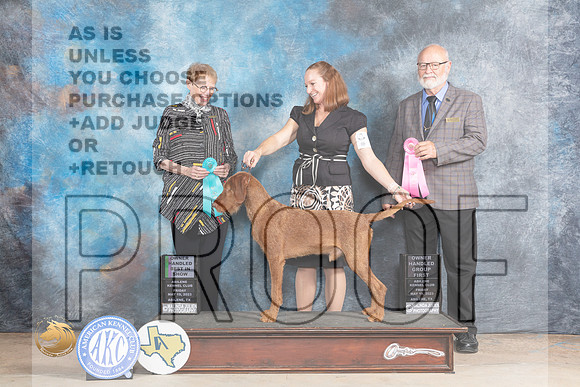Wirehaired Vizsla #5 Fri OHBIS Judge Edweena (Teddy) Mc DowellMJP_0610_Abilene_2023_HR3