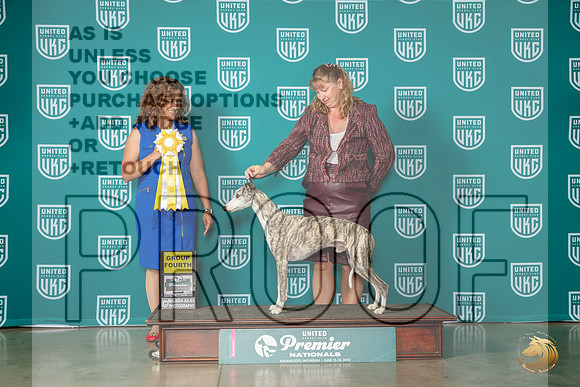 Whippet #821 Sat G4 Judge Tricia TillMJP_5318_Premier2023_HR3