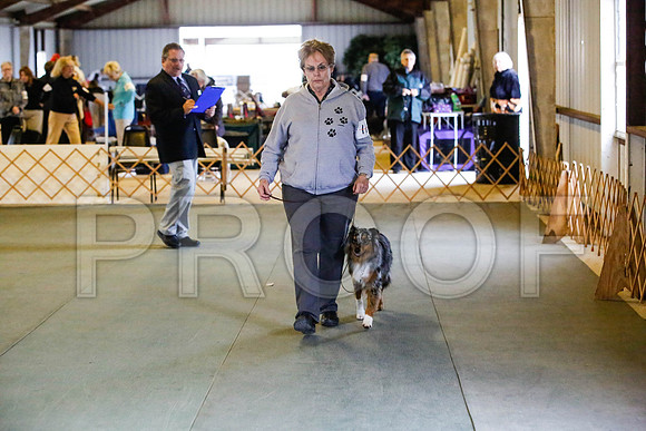 _CA_0578-DFWLabNov2015-©JulienLambertphoto.com-HR3