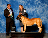 Mastiff #8 Fri OH G# Lambden Jennifer Dolly Moore Susan Wheeler Judge Ricardo Forastieri Gonzalez