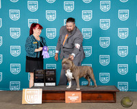 Barry Clemets UKC Western Classic