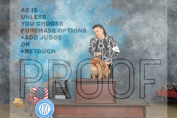 Pomeranian #18 Fri BOSWB Judge Gary Andersen_MJ_5934_ARK2023_HR3