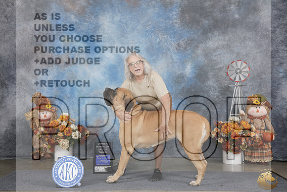 Mastiff #8 Fri OHG3 Judge Steve Keating_WP_0029_Amarillo 2026