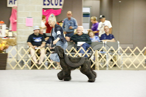 _JJ_8358-AfgBeltonOct2014-HR3