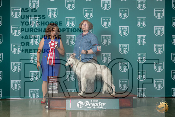 Silken Windhound #1220 Sat AG2 Judge Tricia TillMJP_5331_Premier2023_HR3