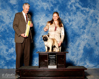 Pug #7 Sat G3 Delisa Mary Holly Leftwich Judge Jon Cole