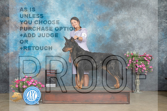 Beauceron #5 Sat G2 Judge Linn Klingel Brown_MJ_6770_ARK2023_HR3