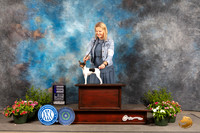 Toy Fox Terrier #8 Sun WB Judge Cindy Lane