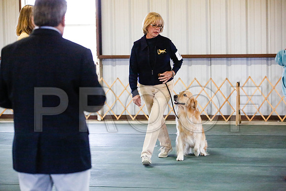 _CA_0550-DFWLabNov2015-©JulienLambertphoto.com-HR3