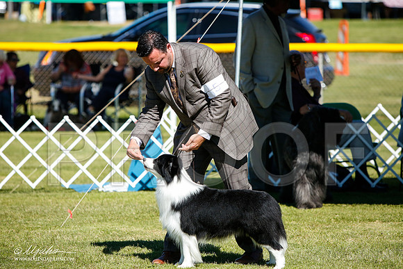 _JJ_5472-AlamogordoOct2014-HR3