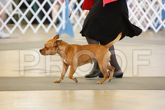 _JJ_7384-DallasJul2014-HR3