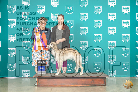 Silken Windhound #122 Wed BISS Judge Jennifer LandersMJP_3550_Premier2023_HR3