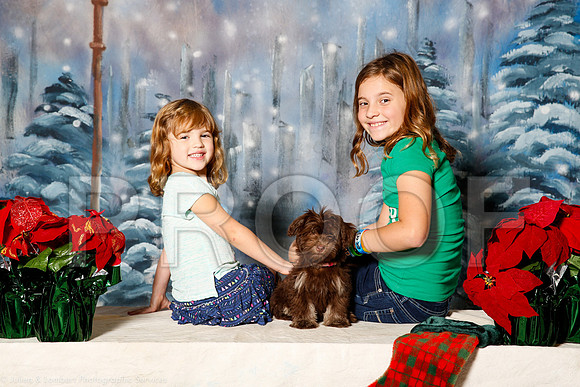 _ST_1298-PetsWestDec2015-HR3