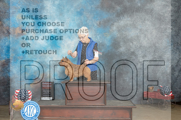 Norwich Terrier #5 Fri G2 Judge Jacqueline L Stacy_MJ_6141_ARK2023_HR3