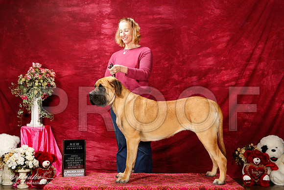 _ST_2844-2-BeltonJan2015IABCA-HR3