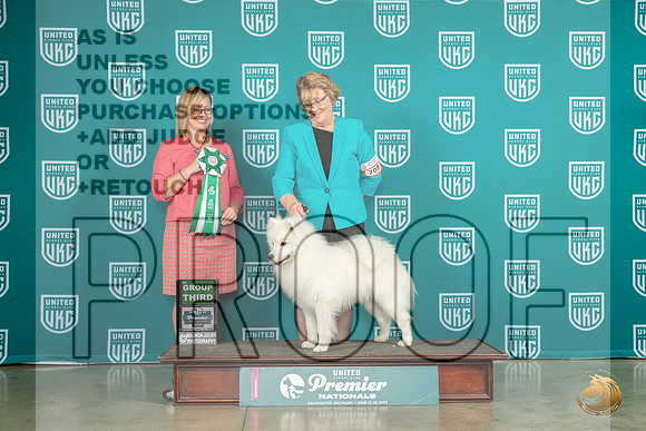 American Eskimo #708 Sat G3 Judge Felicity TrammellMJP_5346_Premier2023_HR3
