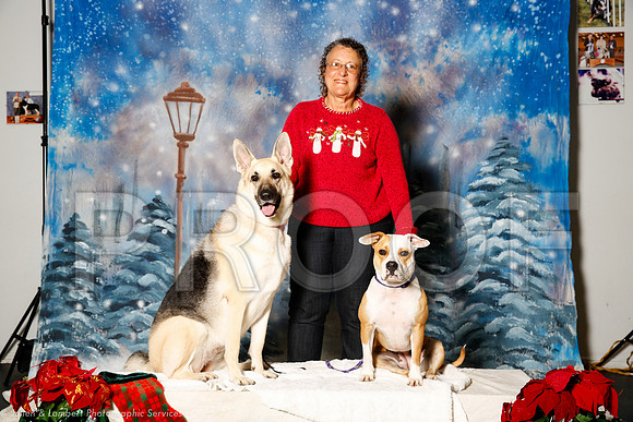 _ST_1311-PetsWestDec2015-HR3